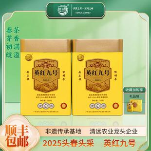 2025明前头春金英红九号新茶老树红茶耐泡茶香红茶高级茶叶罐送礼