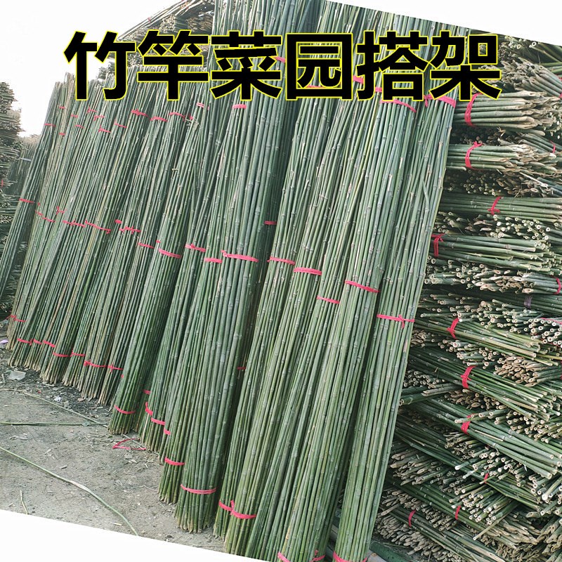竹竿菜园搭架g竹杆豆角黄瓜架子小竹子细竹M竿棍竹篱笆围栏种菜架