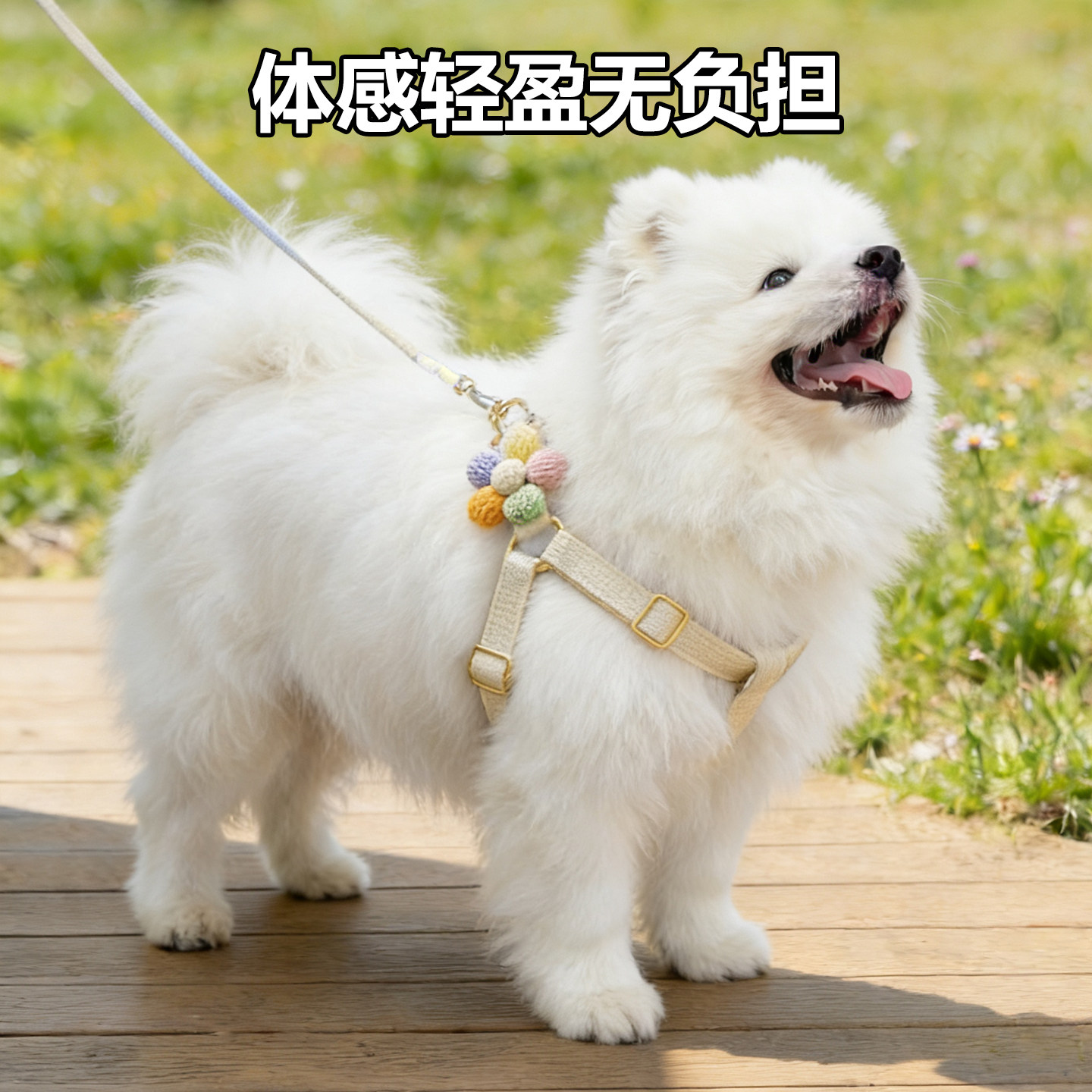 宠物伸缩牵引绳小狗狗Y形胸背遛狗的小型犬中型犬背带式泰迪幼犬
