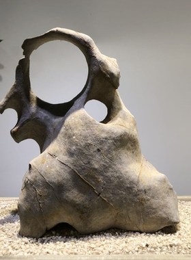 天然太湖石奇石观赏石鱼缸假山石头景观石盆景园林灵璧石