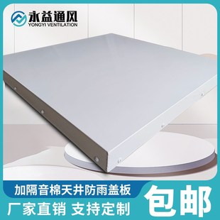 天井防雨盖板检修口屋面上人孔阁楼斜面楼顶防雨天窗盖蓄水池盖子