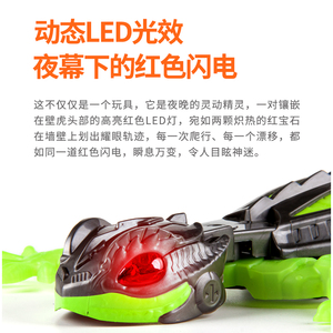 暑期科技营赫宝械器仿生爬墙壁虎恐龙遥控孩电子