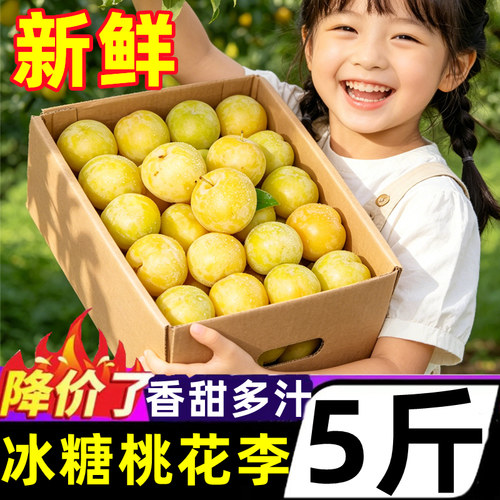 正宗纯甜冰糖李桃花李新鲜