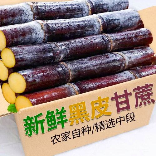 广西黑皮甘蔗10斤新鲜水果脆甜多汁应当季孕妇甜杆果蔗整箱特产