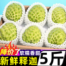 新鲜凤梨释迦果5斤当季 牛奶大目释迦番荔枝佛头摩尼果林檎整箱