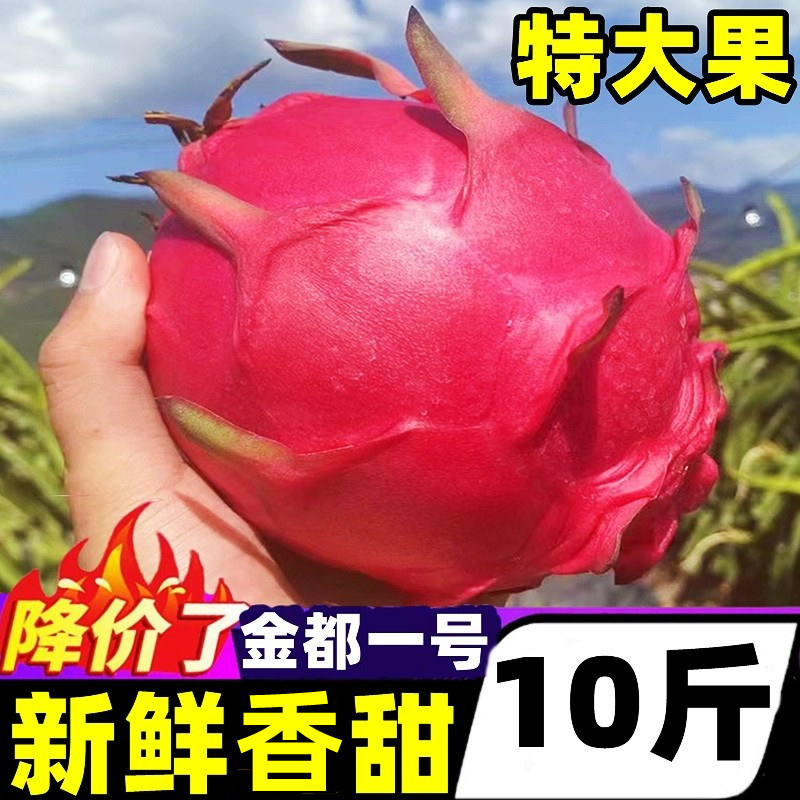 广西红心火龙果新鲜10斤当季水果香甜金都一号孕妇红肉密宝整箱