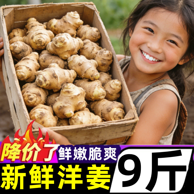 新鲜洋姜当季蔬菜现挖野生鬼子姜泡菜腌制菜菊芋腌酱泡番咸菜整箱