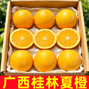 广西桂林夏橙新鲜橙子水果