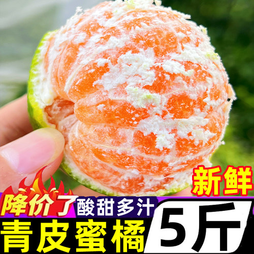 云南青皮蜜橘新鲜5斤酸甜