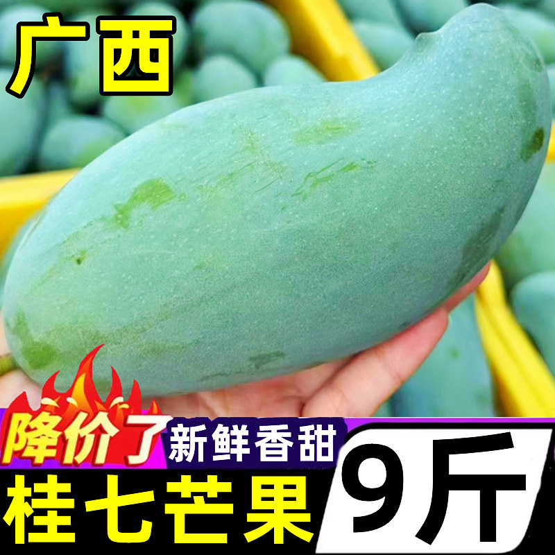 广西正宗桂七芒果新鲜9斤当季青皮香芒果薄皮果香独特当季整箱