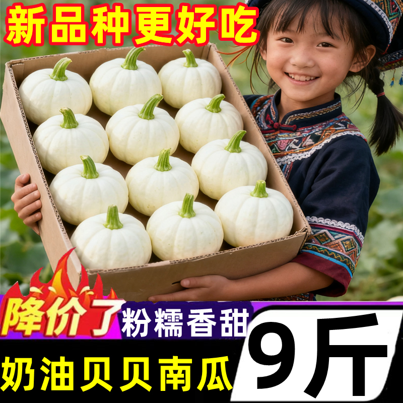 广西奶油贝贝南瓜粉糯香甜
