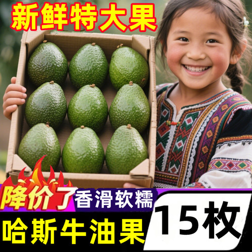 正宗哈斯牛油果软糯香滑