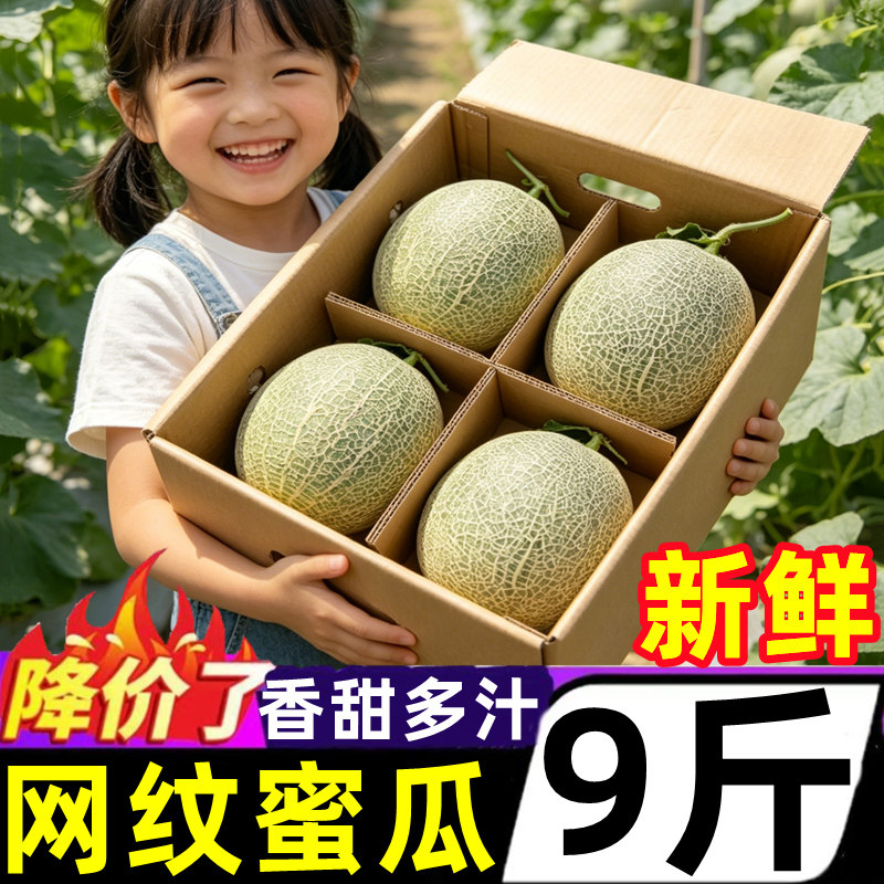 海南玲珑网纹蜜瓜香冰淇淋哈密瓜