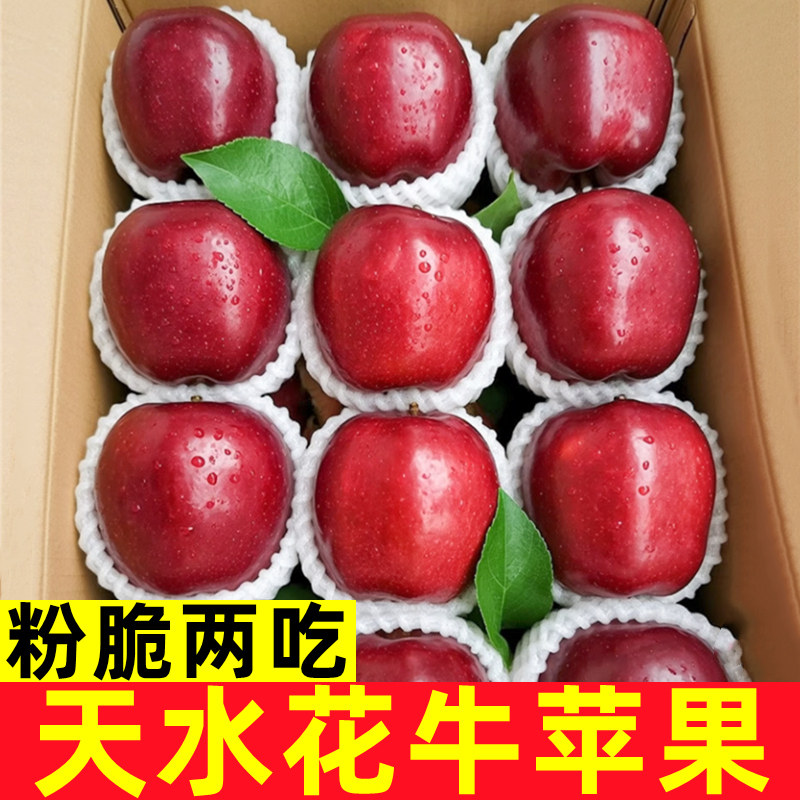 甘肃天水花牛苹果粉面香甜