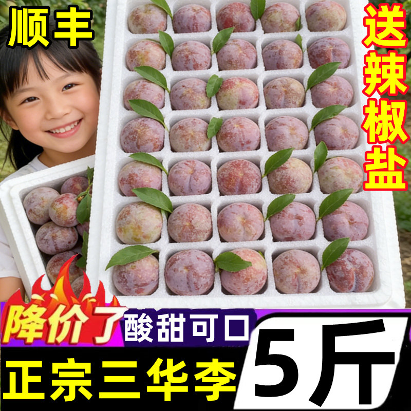 正宗广东红心三华李新鲜5斤当季现摘大果酸甜李子三月孕妇李整箱