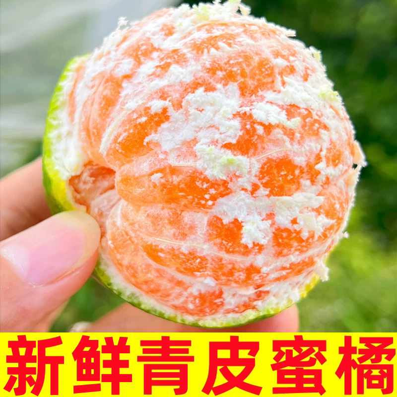 湖北青皮蜜橘新鲜5斤酸甜
