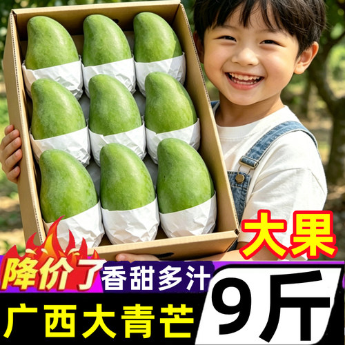 广西大青芒果新鲜9斤当季
