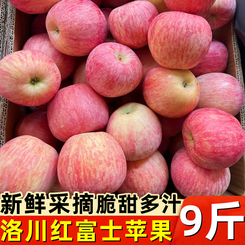 陕西洛川红富士苹果新鲜9斤当季水果脆甜红富士冰糖心平果整箱,水产肉类/新鲜蔬果/熟食,苹果,淘宝优惠券,粉丝福利购,淘宝优惠卷
