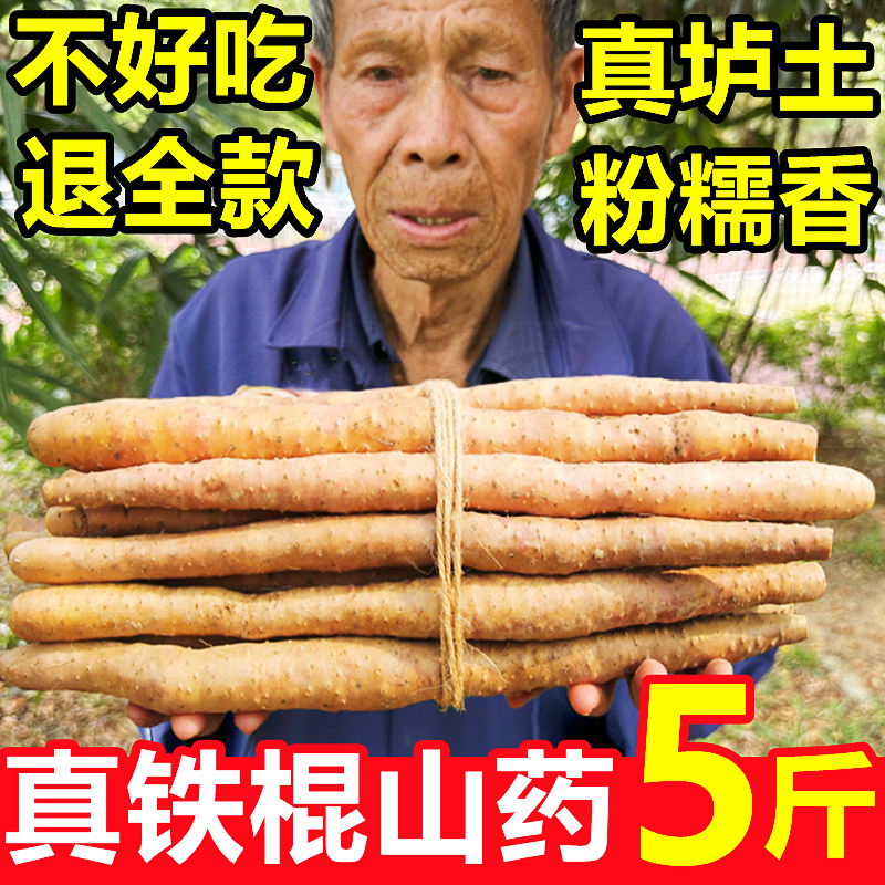正宗河南垆土铁棍山药5斤新鲜蔬菜铁杆怀山药豆小白嘴淮山药整箱