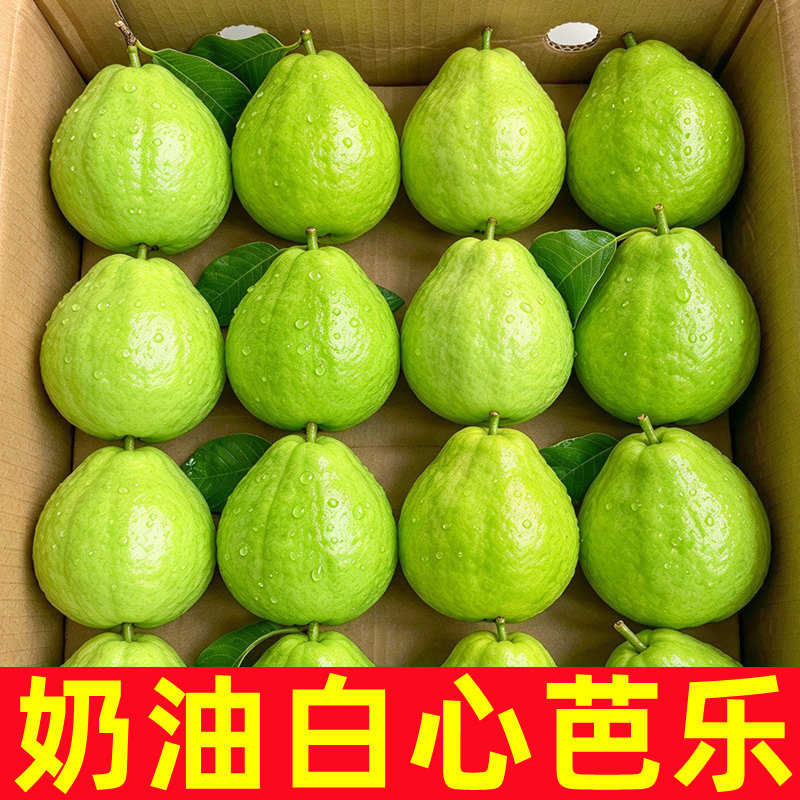 广西白心芭乐5斤新鲜软心奶油番石榴脆应季水果软糯白肉巴乐果5