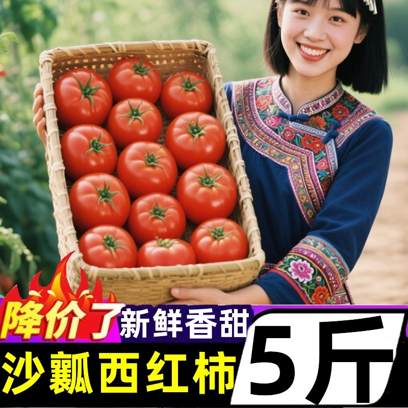 甘肃香甜沙瓤西红柿新鲜