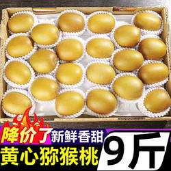 2025年正宗黄心猕猴桃5斤新鲜当季大果香甜黄金奇异果非徐香整箱