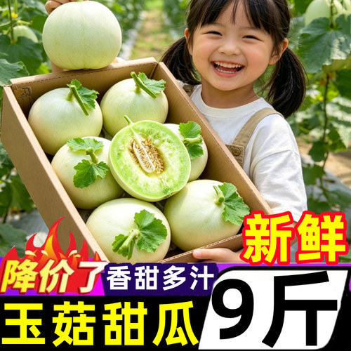 冰淇淋玉菇甜瓜评价榜单
