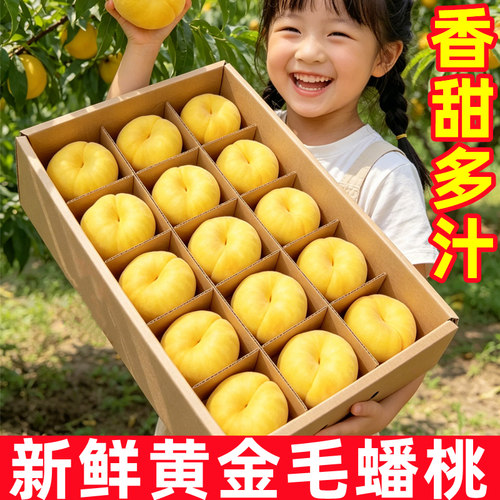 山东蒙阴黄毛蟠桃新鲜脆甜5斤
