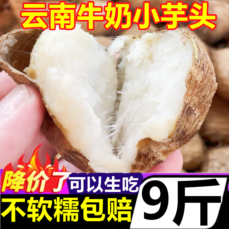 云南牛奶小芋头毛芋小香芋槟榔芋