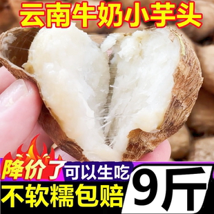 云南牛奶小芋头9斤毛芋头新鲜蔬菜小香芋槟榔芋芋艿农家自种红芽