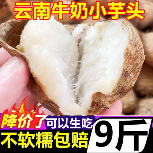 云南牛奶小芋头毛芋小香芋槟榔芋