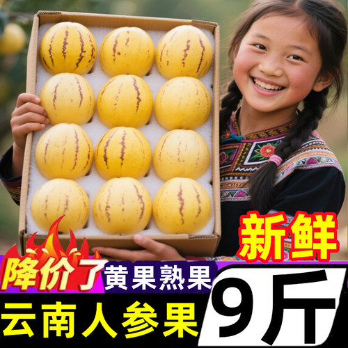 云南人参果9斤圆果熟果大果娃果