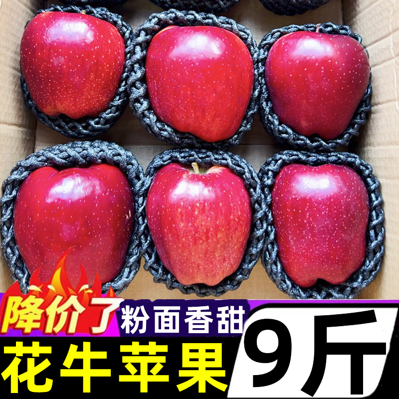 甘肃天水花牛苹果粉面香甜