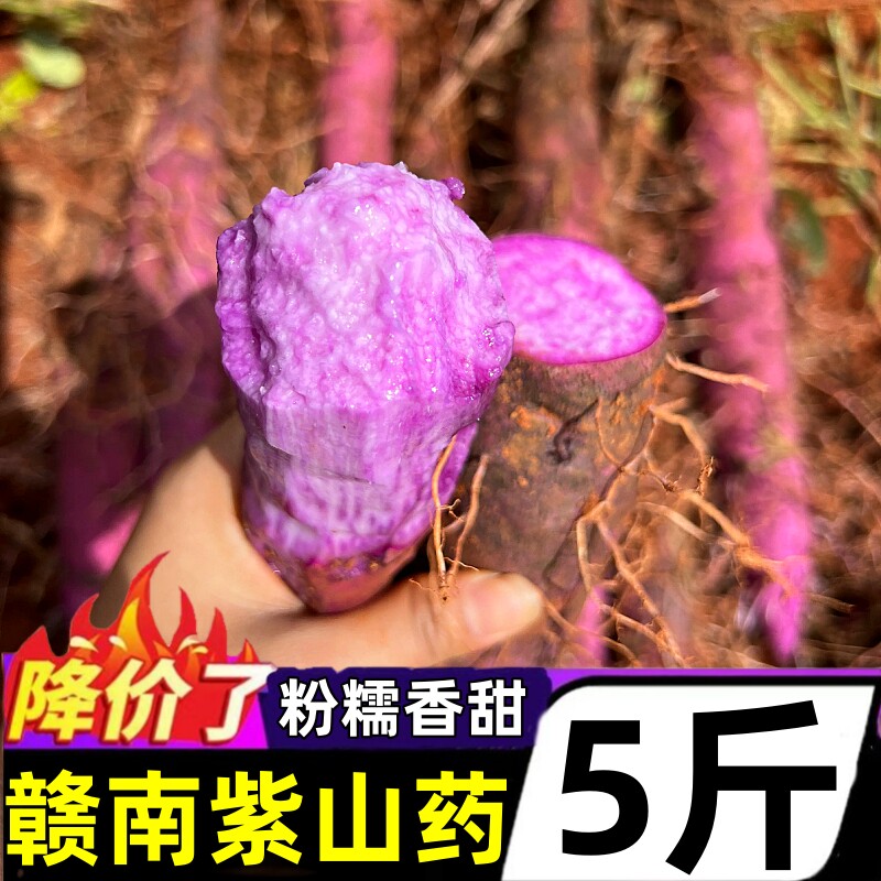 正宗赣南紫山药脚板薯安远紫大薯农家种植新鲜紫玉淮山现挖现发