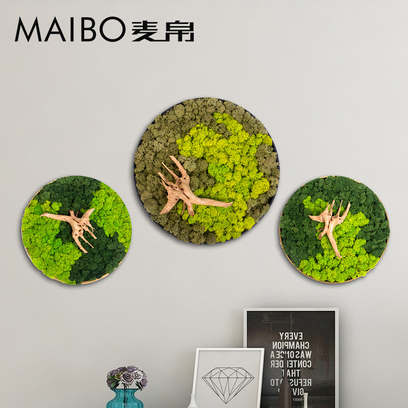 永生苔藓干绿植壁饰挂件壁挂客厅房间景观墙面装饰,家居饰品,壁饰,淘宝优惠券,粉丝福利购,淘宝优惠卷