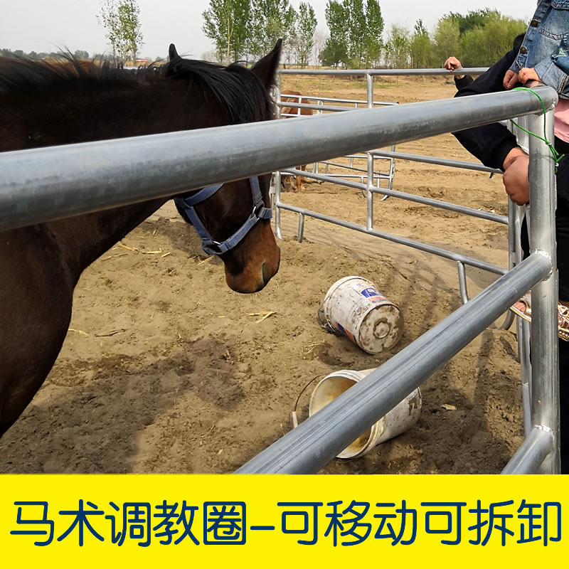 镀锌马场护栏马术场地赛道围栏马房临时拆卸圆管马架子