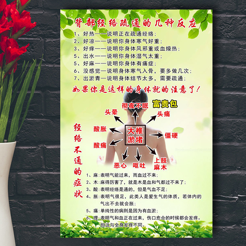 美容院装饰墙壁挂画海报养生馆背部经络疏通的反应症状中医馆挂图
