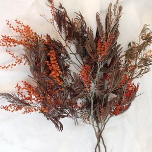 永生花圣诞花金合欢干花真花装饰软装陈设造景家居高端花瓶插花