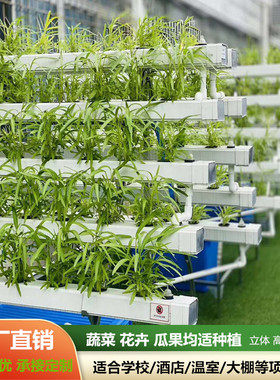 NFT无土栽培蔬菜草莓种植字架水培设备阳台管道种菜机onic