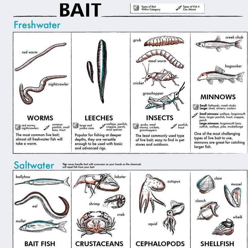 钓鱼终极指南装饰画 垂钓渔具绳钩诱饵鱼线打结教学钓友海报,家居饰品,现代装饰画,淘宝优惠券,粉丝福利购,淘宝优惠卷