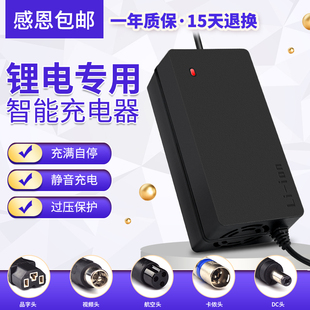 池电动车充电器222电车锂离子哈雷平衡车