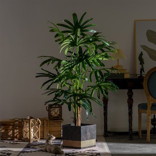 侘寂风仿真棕竹棕桐葵室内客厅假树仿生绿植造景装饰