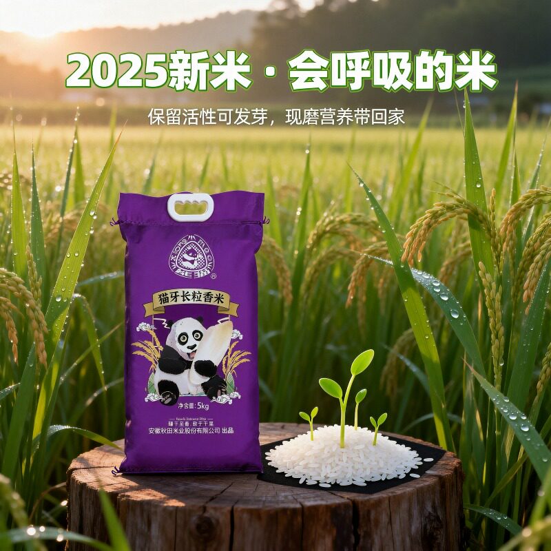 胚芽米农家新大米猫牙长粒香米丝苗米长粒清香大米优质新鲜新大米