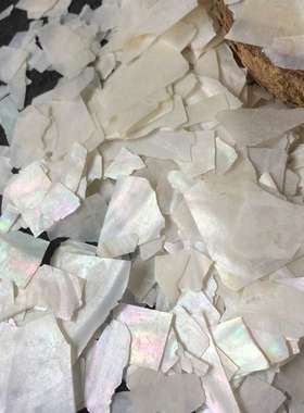 工厂 白色淡水贝壳碎料薄片DIY工艺饰品创意螺钿美甲装饰材料