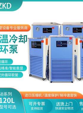 科达厂家实验室DLSB-5/10低温冷却液循环泵恒温水浴仪器设备