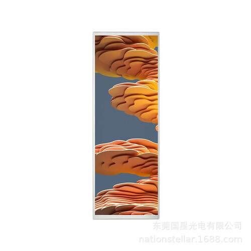 25.0英寸龙腾M123AWK2R0高亮竖屏条形屏数字标牌工业户外液晶模组
