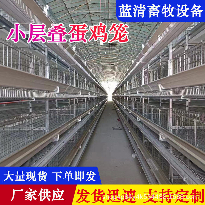 小层叠自动化检蛋鸡舍养殖设备