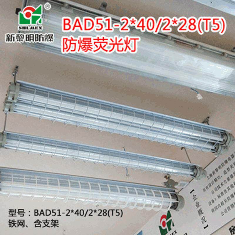 防爆T8支架灯外壳 BAY51 T5 2 28W双管新黎明荧光灯车间厂房照明