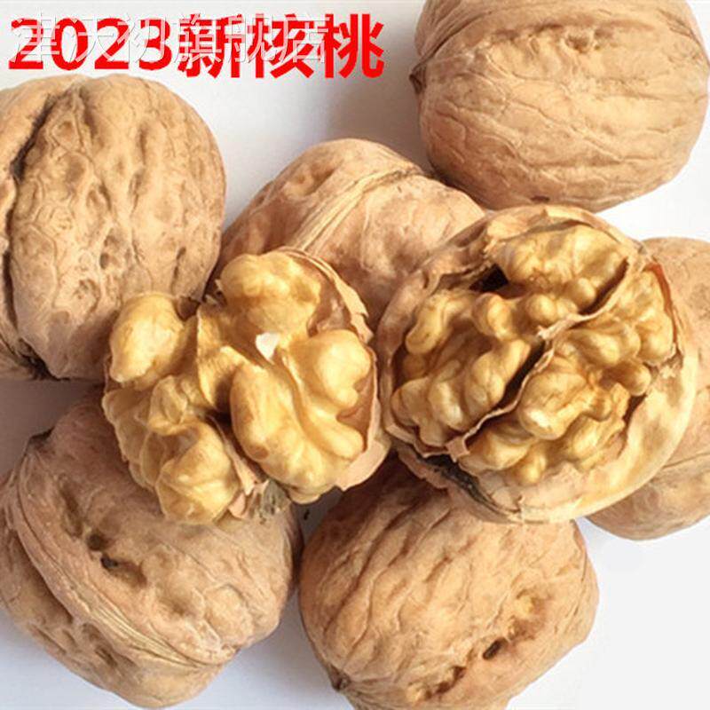 2024新鲜干核桃天津蓟县农家纸皮薄皮核桃蓟州特产