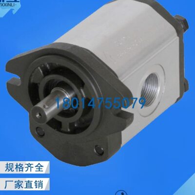 博顿Boden齿轮泵BAP2B1D12/14/16/20/25C2E3 BAP2B1D28C2E3